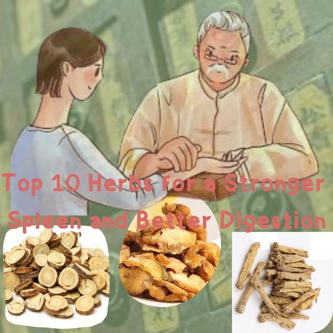Top 10 Herbs for a Stronger Spleen and Better Digestion - herbs for spleen