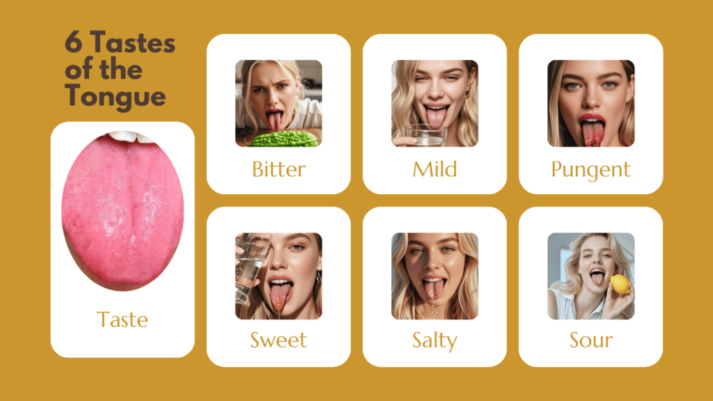 chinese tongue diagnosis