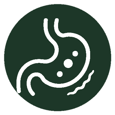 04 Poor Digestion