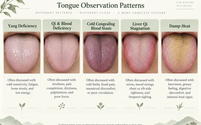 What Is Chinese Medicine Tongue Diagnosis? 5 Traditional Patterns Compared