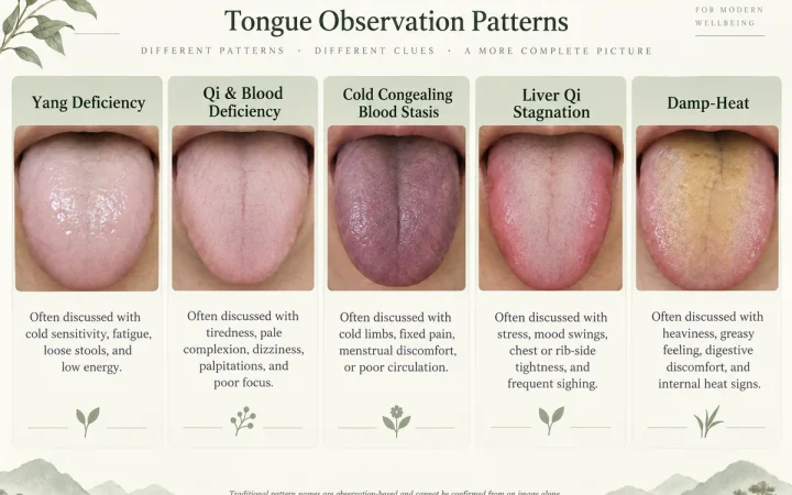 What Is Chinese Medicine Tongue Diagnosis? 5 Traditional Patterns Compared